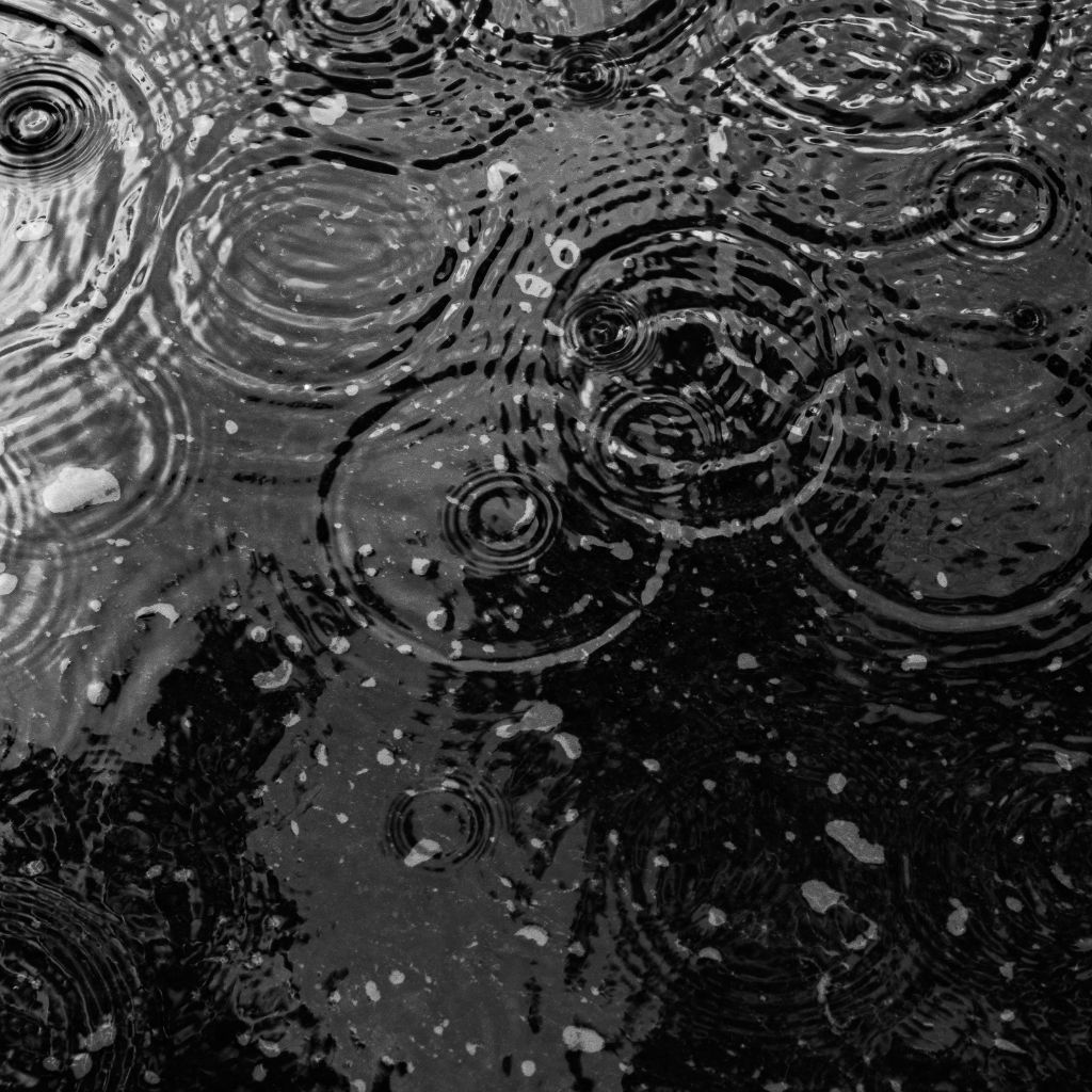 Návrh bez názvu (22)